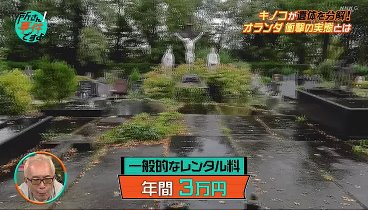 所さん！事件ですよ 231109 動画 | 2023年11月9日