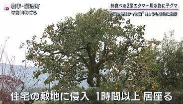 サンデーステーション 231112 動画 | 2023年11月12日