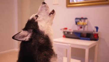 Mishka Sings with iPad 2 - Better than Rebecca Black! (now on iTunes ...
