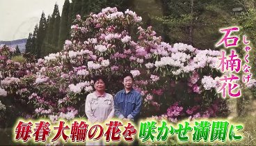 ポツンと一軒家 231119 動画 番組史上最多！8軒のポツンを紹介 | 2023年11月19日