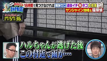 嗚呼‼みんなの動物園 231125 動画 池崎預かり史上最強手強い猫佐吉が初めて外へ！ | 2023年11月25日