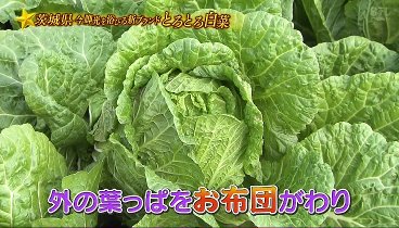 満天☆青空レストラン 240120 動画 | 2024年1月20日