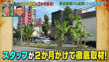 アンタッチャブるTV 231128 動画 世間をザワつかせた写真SP▽尾形軍団VS過積載トラック | 2023年11月28日