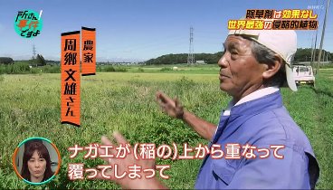 所さん！事件ですよ 231130 動画 | 2023年11月30日