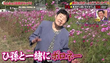 爆笑！明石家さんまのご長寿グランプリ２０２３ 231222 動画 過去の自分に贈るご長寿ビデオレター！ | 2023年12月22日