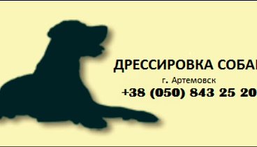 Дрессировка собак г. Артемовск