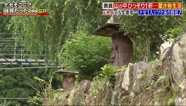 ナゼそこ？ 240118 動画 奈良の超山奥…91歳おばあちゃんVS凶暴！ | 2024年1月18日