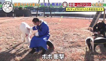 ヤギと大悟 240209 動画 勝浦タンタン麺、カツオ・金目鯛で有名な港町 | 2024年2月9日