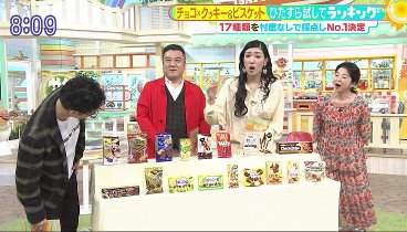 サタデープラス 240309 動画 一度は食べたことがある！？ひたすら試して『チョコクッキー』 | 2024年3月9日