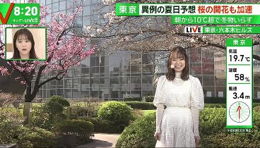 サンデーLIVE 240331 動画 密着“サクラがない”落胆の訪日客 | 2024年3月31日