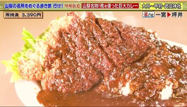 土曜スペシャル 240127 動画 ザキヤマの街道歩き旅 | 2024年1月27日