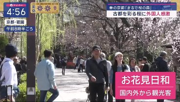 世界まる見え！ 240401 動画 成功か失敗かSP▽8歳の子どもたちが不動産会社に挑戦！ | 2024年4月1日