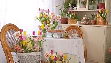 Весна в каждый дом, в каждое сердце! @dikovinka_dacha спасибо