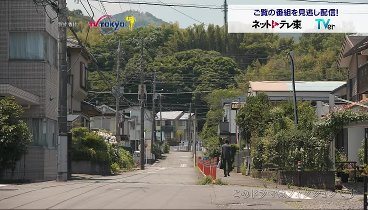 YOUは何しに日本へ？ 240219 動画 寅さんマニアが伝説の離島で“なりきり”さすらい旅 | 2024年2月19日