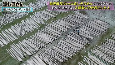 激レアさんを連れてきた。 240219 動画  世界最長４ｋｍの流しそうめんをどうしてもやりたくて街中 | 2024年2月19日