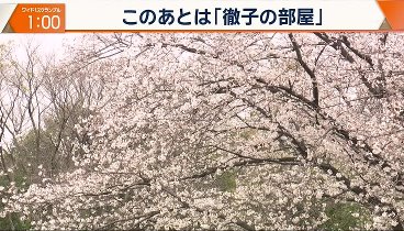 徹子の部屋 240405 動画 | 2024年4月5日