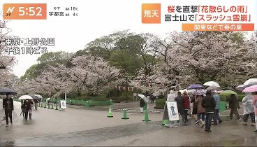 Ｎスタ 240409 動画 まるで梅雨！大雨恐れ　桜満開モードから一転  | 2024年4月9日