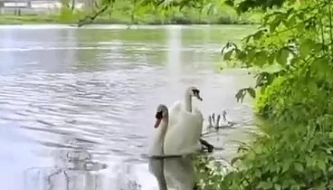 А вы знаете, жизнь ведь замечательна и удивительна, но только при од ...