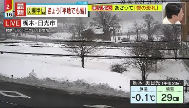 ミヤネ屋  240306 動画 絶好調!大谷翔平古巣エンゼルスと対戦 | 2024年3月6日