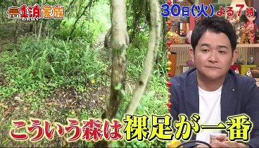 １泊家族  240427 動画 絶品たけのこを育てる家族〜山口県下関市〜 | 2024年4月27日