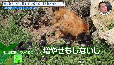 これ余談なんですけど 240410 動画 | 2024年4月10日