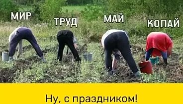 Чистая правда