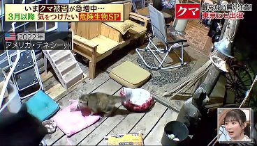 林修の今知りたいでしょ！ 240229 動画 3月以降、特に気を付けたい危険生物！ | 2024年2月29日