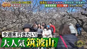 帰れマンデー見っけ隊 240304 動画 | 2024年3月4日