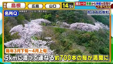 くりぃむクイズ ミラクル9 240306 動画 | 2024年3月6日