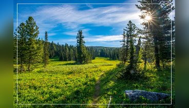 Весны прекрасные порывы