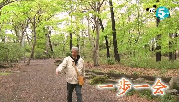 じゅん散歩 240529 動画 | 2024年5月29日