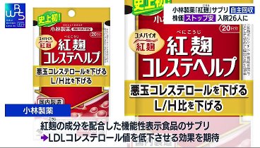 ＷＢＳ 240325 動画 あなたと世界を経済でつなぐ | 2024年3月25日