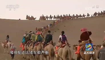 В китайской пустыне Кумтаг есть специальные верблюжьи светофоры.

Эт ...