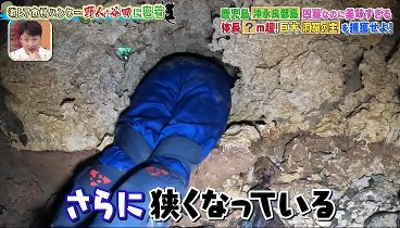 所さんのそこんトコロ 240329 動画 | 2024年3月29日