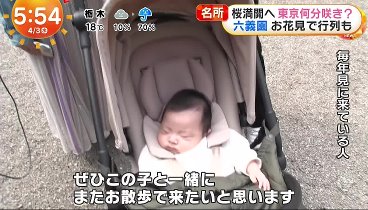 めざましテレビ  240403 動画 ひき逃げか激しい音も▽桜名所は何分咲き | 2024年4月3日