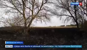 А как тогда коррупционеры экологию уничтожают ,в Петропавловск Камча ...