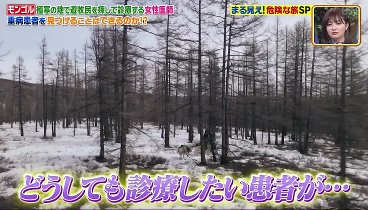 世界まる見え！ 240429 動画 危険な旅SP！ガボン大木を運ぶ650㎞の旅 | 2024年4月29日