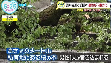 ZIP! 240424 動画 深まる謎那須町2遺体逮捕の男「現場に行ってない」 | 2024年4月24日