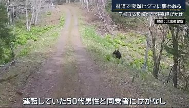 報道ステーション 240429 動画 指示役“アニキ”か「那須遺体事件」28歳男を沖縄で逮捕 | 2024年4月29日