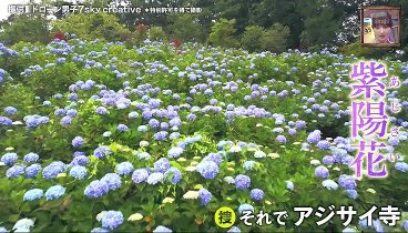 ポツンと一軒家 240505 動画 父から託された山頂の寺を後世に | 2024年5月5日