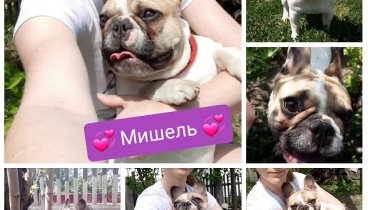 💞Мишель💞.mp4