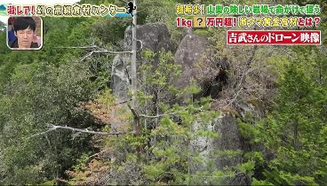 所さんのそこんトコロ 240517 動画 | 2024年5月17日