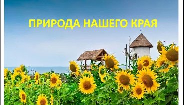 Природа нашего края