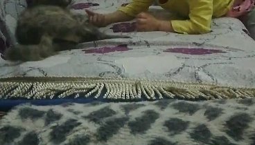 VID_20191123_203300.mp4 