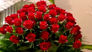 Сергей Сухачев розы красные