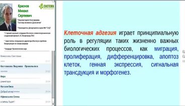 САД- Флуревиты и их отличие от др.  препаратов.  Краснов М. С.