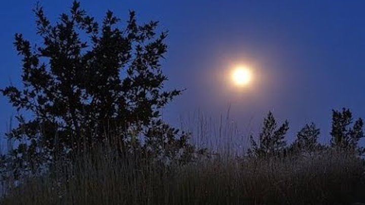 Фото стлуны. Песня папа светит Луна за окном мерцают звезды.