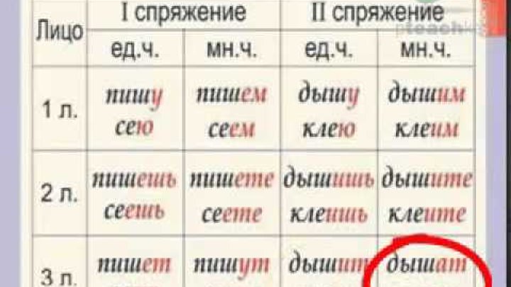 В каждом предложении глагол 1 спряжения. Склонение глаголов в русском. Спряжения глаголов в русском языке таблица. Склонение глаголов таблица. Спряжение и склонение глаголов 4 класс.