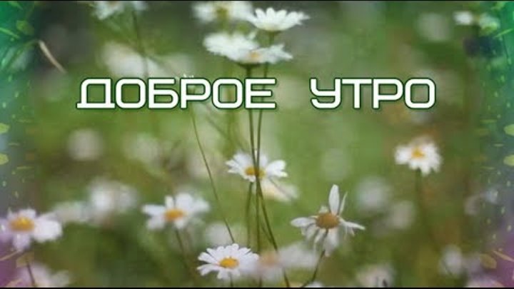 Доброе утро ДРУЗЬЯ