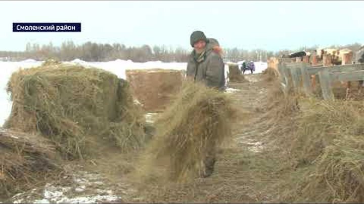 В сёлах Алтайского края стало тяжело держать хозяйство из-за цен на  ...